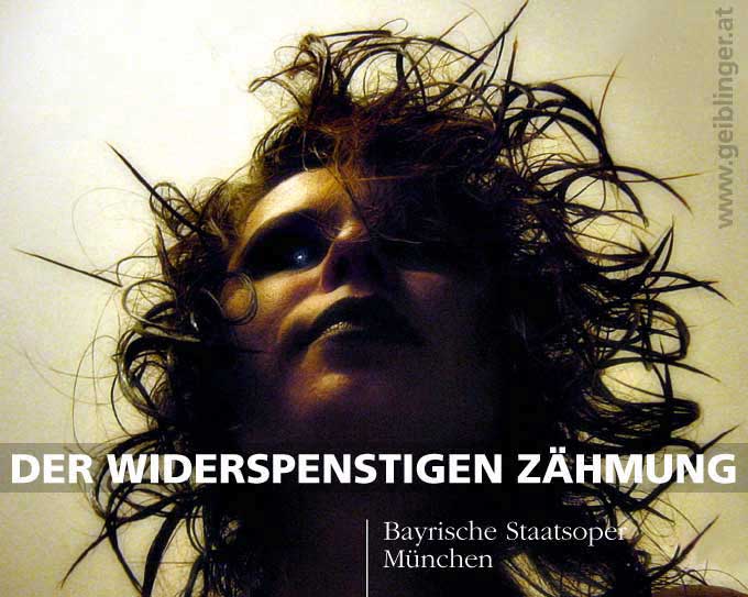 der widerspenstigen zähmung, theaterplakat